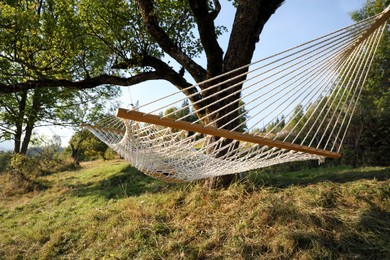 Photo of Comfortable net hammock outdoors on sunny day