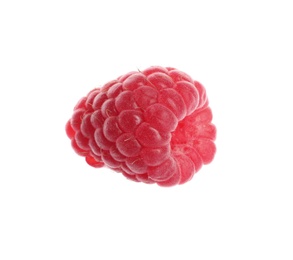 Delicious ripe sweet raspberry isolated on white