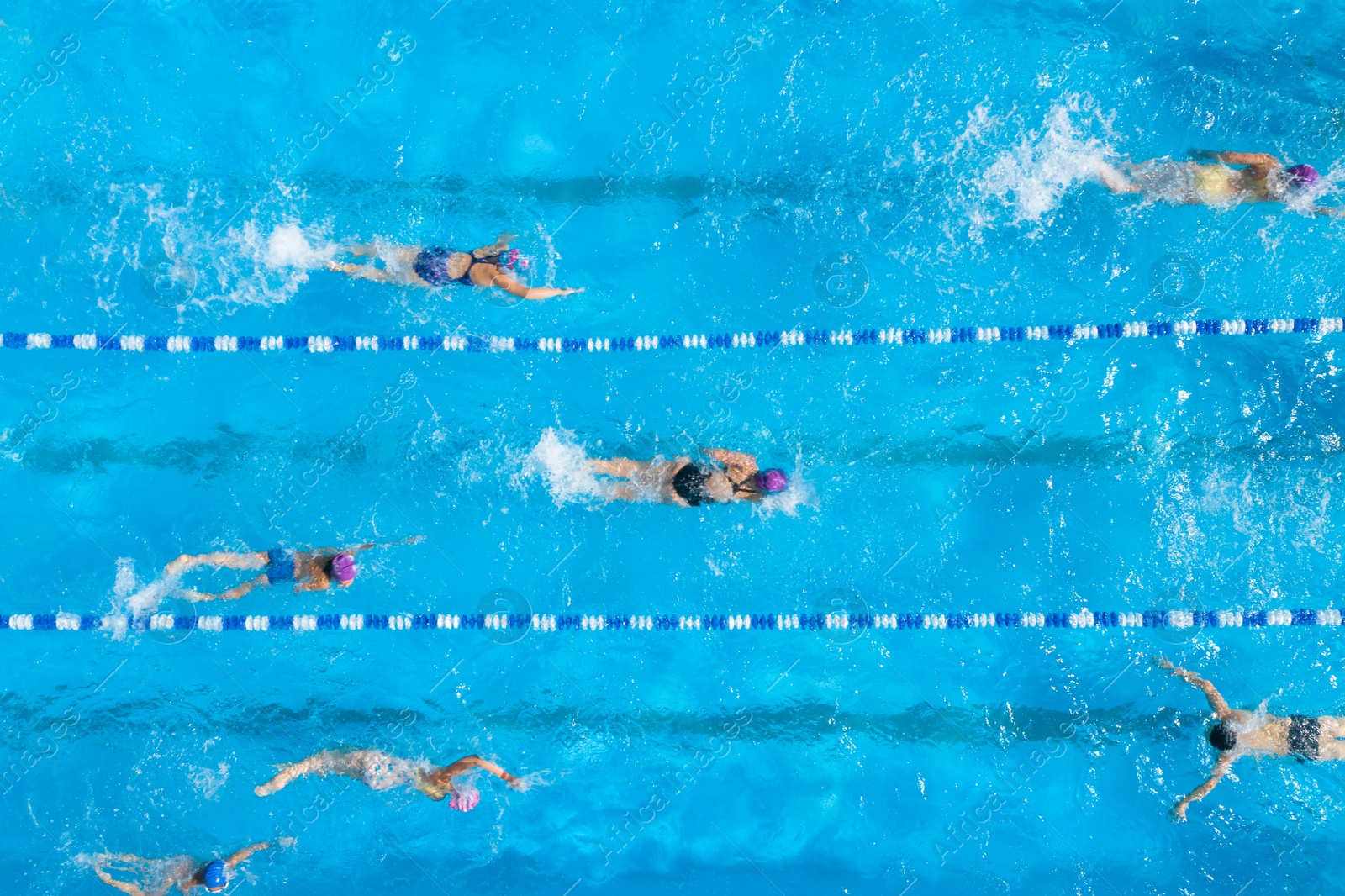 Image of People training in swimming pool, top view