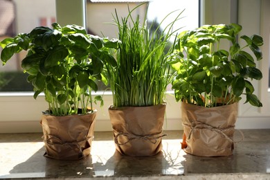 Photo of Different aromatic potted herbs on windowsill indoors