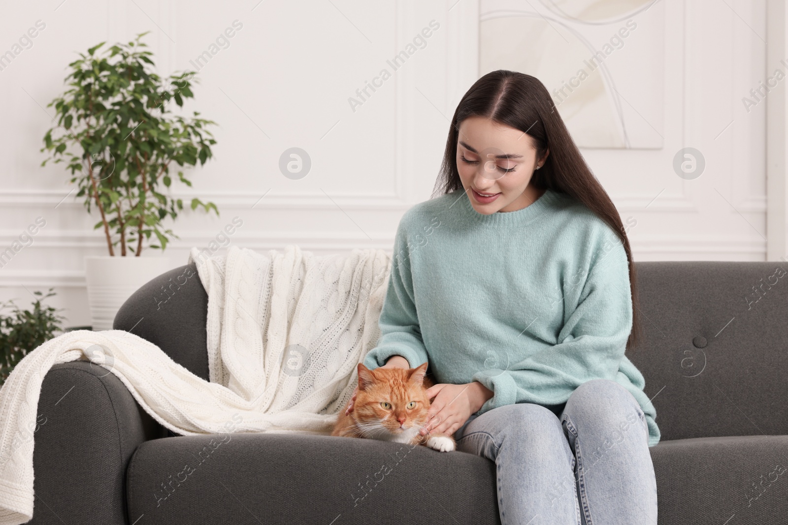 Photo of Beautiful woman petting cute cat on sofa at home