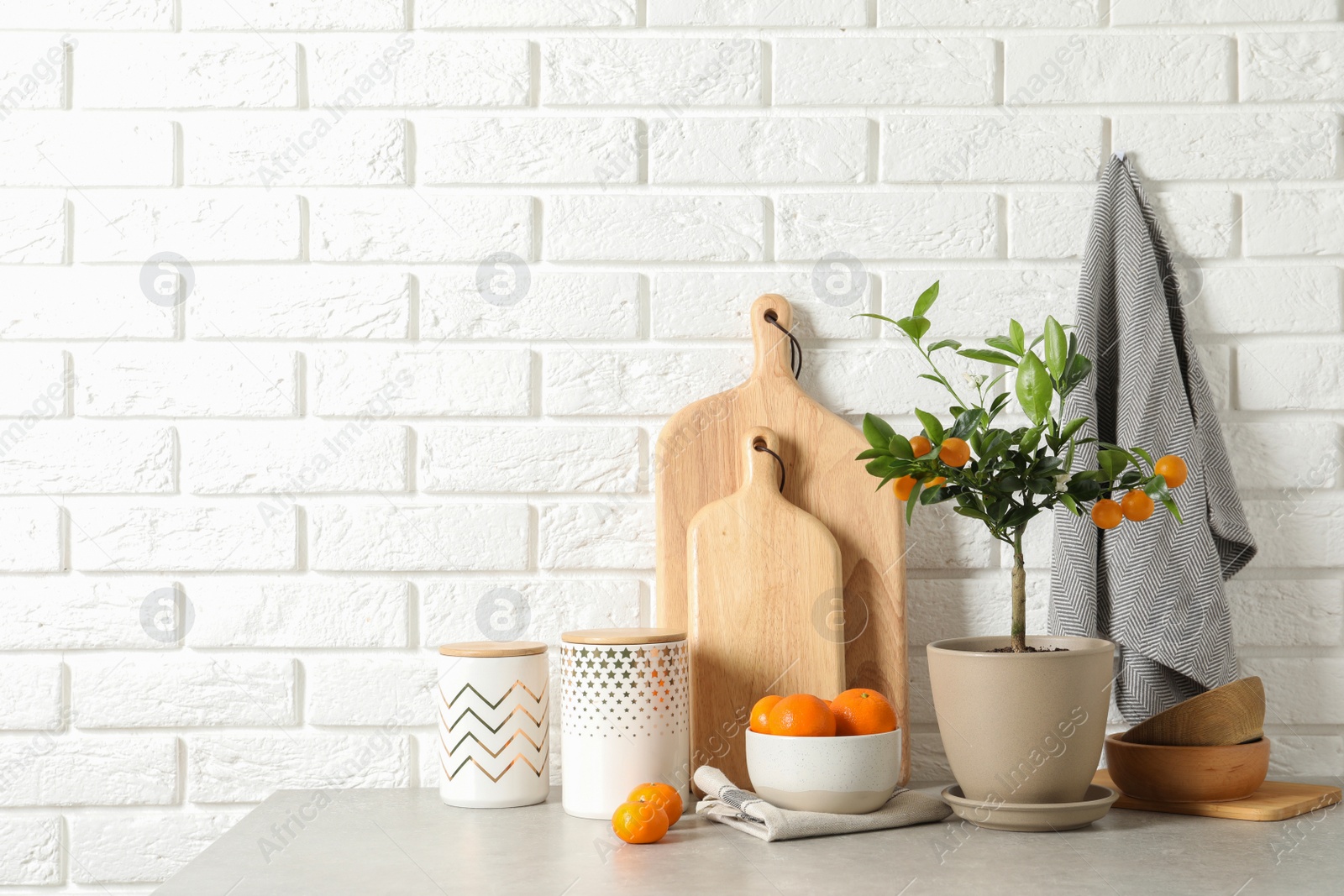 Photo of Composition with potted citrus tree and fruits on table against brick wall. Space for text