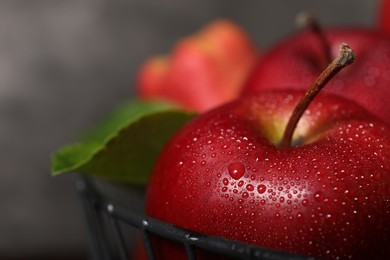 Photo of Fresh ripe red apples with water drops in metal bowl on grey background, closeup. Space for text