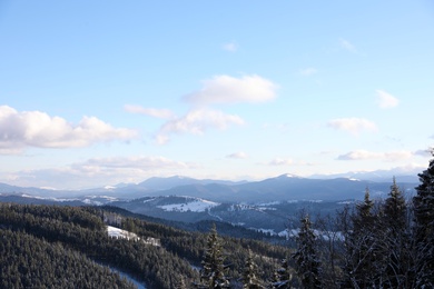 Photo of Beautiful mountain landscape with forest on sunny day in winter