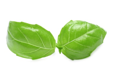 Photo of Fresh green basil leaves on white background