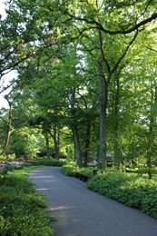 Photo of Park with variety of beautiful plants and pathway on sunny day. Spring season