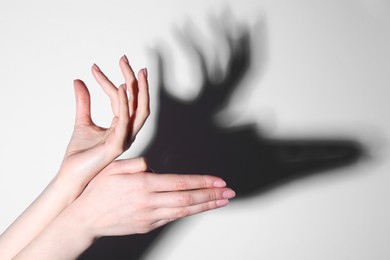 Photo of Shadow puppet. Woman making hand gesture like deer on light background, closeup