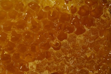 Photo of Closeup view of natural honeycomb with sweet honey as background