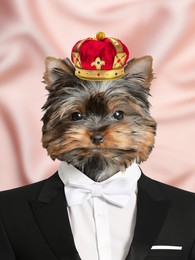 Image of Yorkshire terrier dressed like royal person against pink background