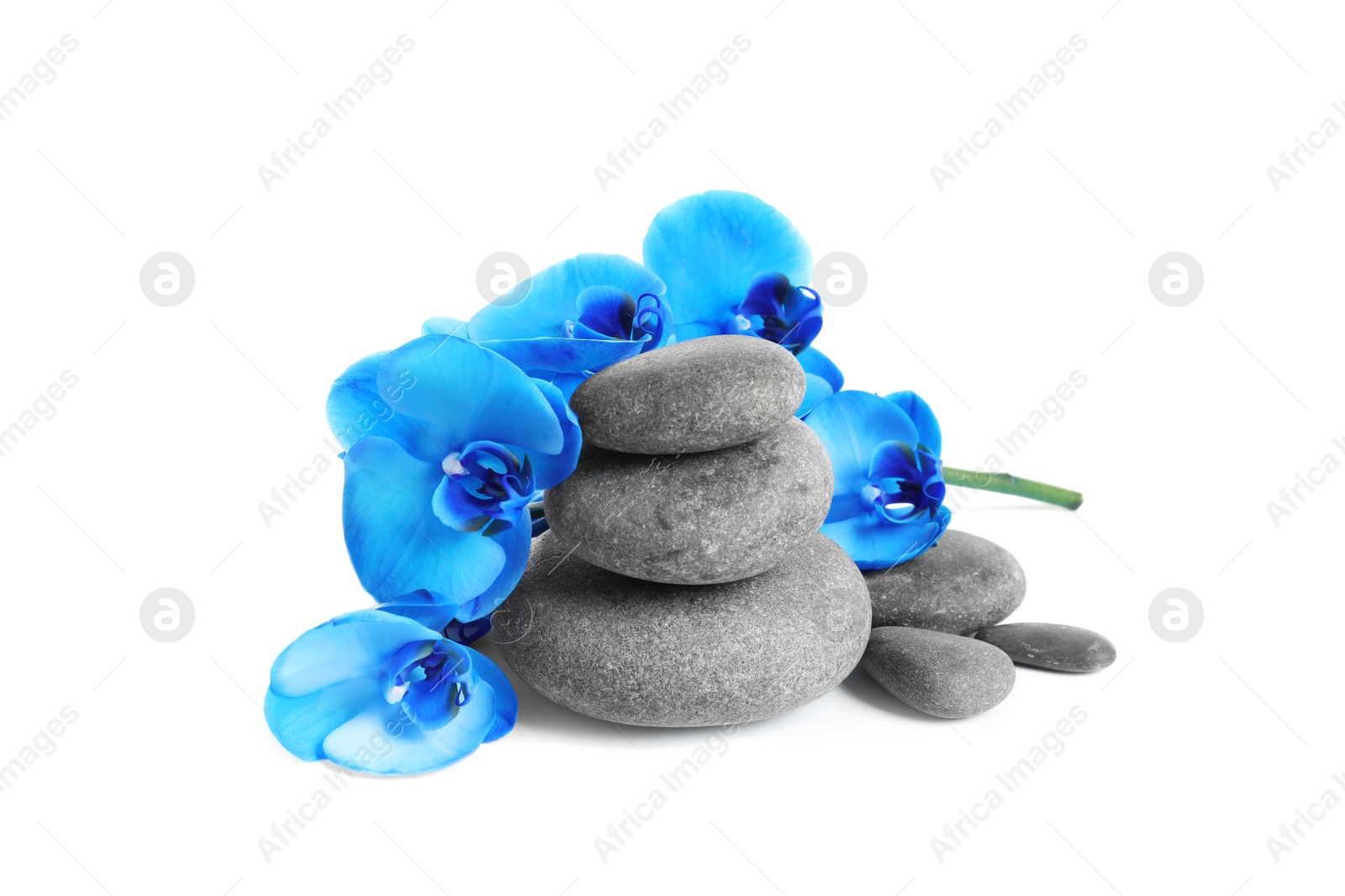 Photo of Spa stones and orchid flowers on white background