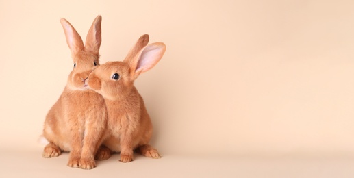 Photo of Cute bunnies on beige background, space for text. Easter symbol