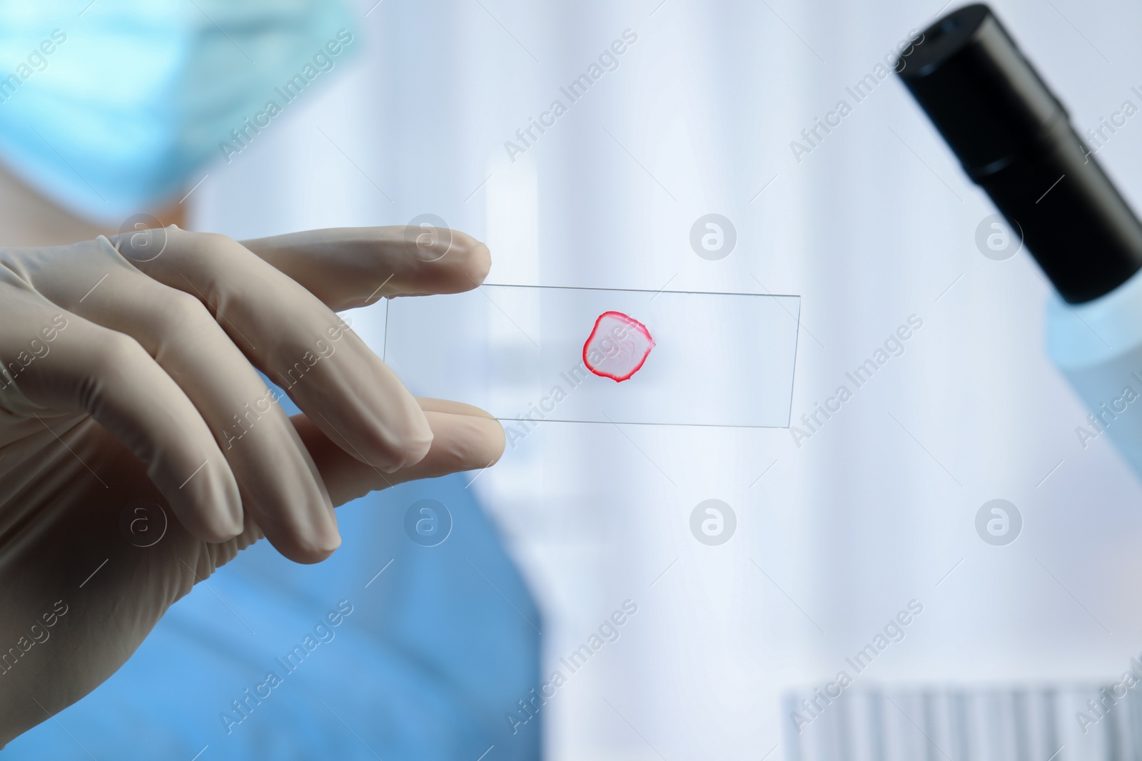 Photo of Scientist holding microscope slide with red sample in laboratory, closeup