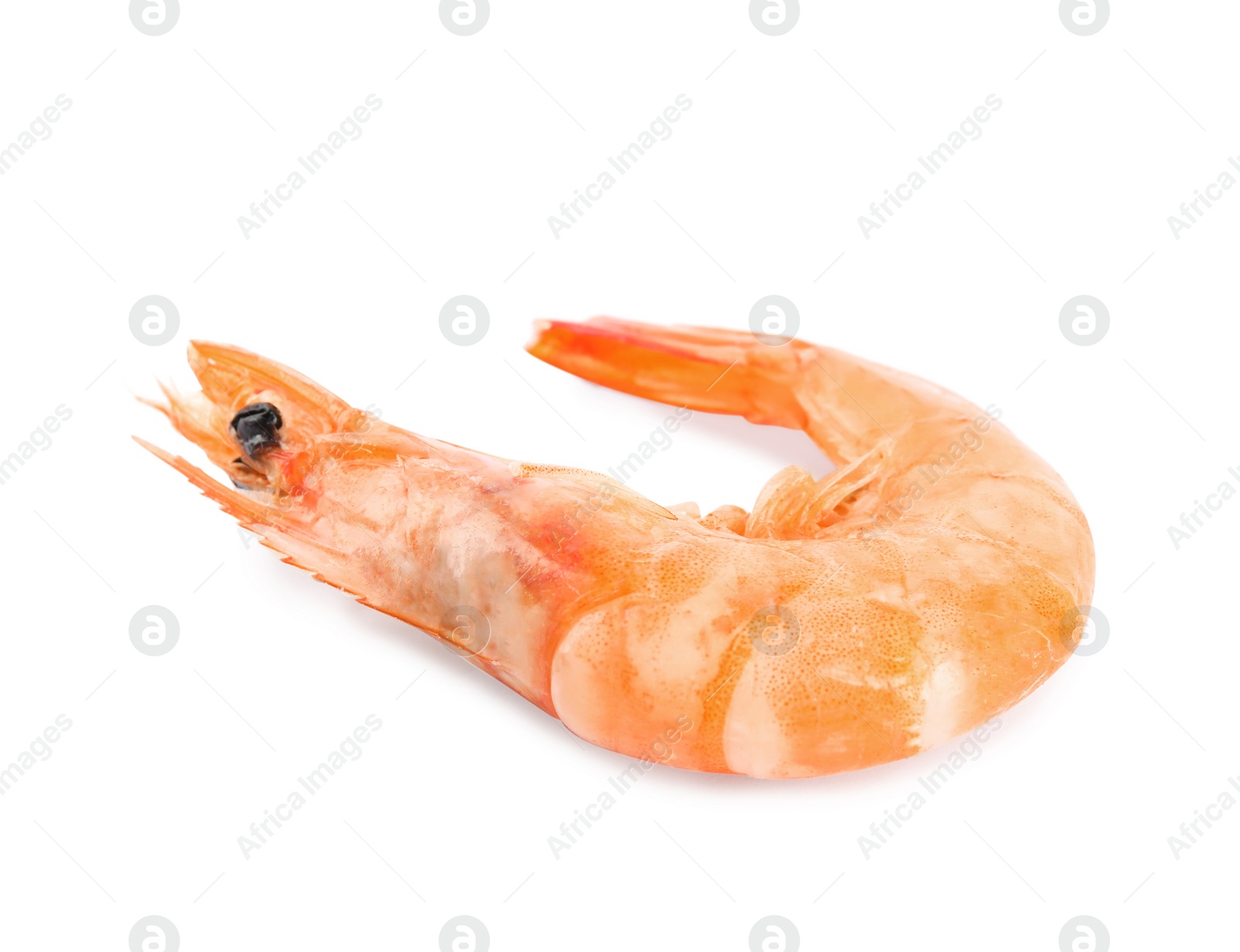 Photo of Delicious cooked whole shrimp isolated on white