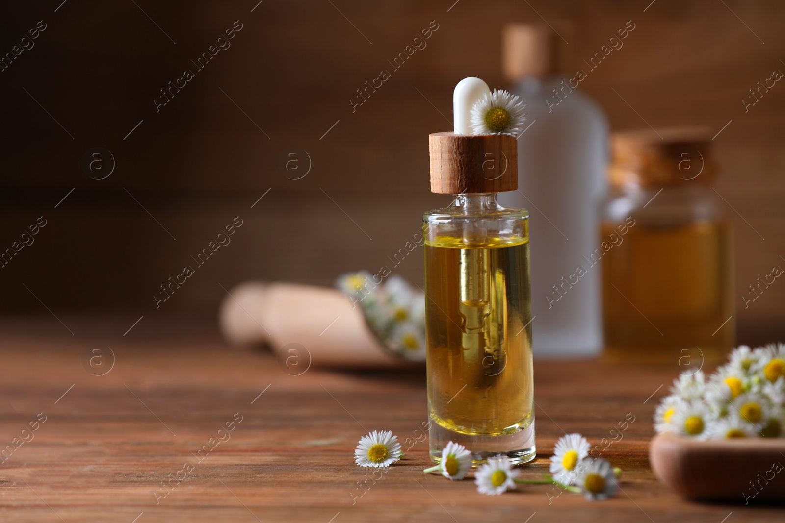 Photo of Chamomile essential oil and flowers on wooden table, space for text