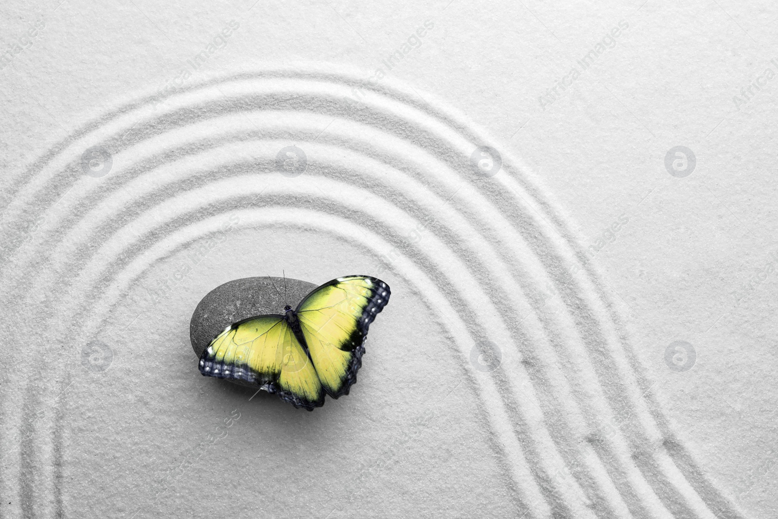 Image of Beautiful butterfly and stone on white sand with pattern, top view. Zen concept