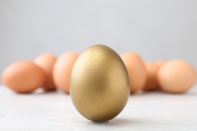 One shiny golden egg on light table