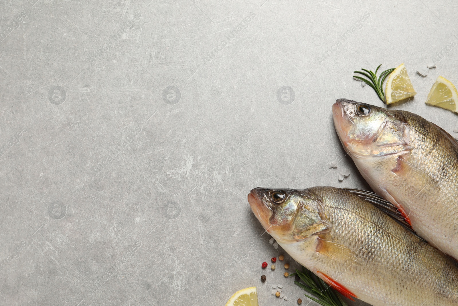 Photo of Fresh raw perches and ingredients on light grey 
 marble table, flat lay with space for text. River fish