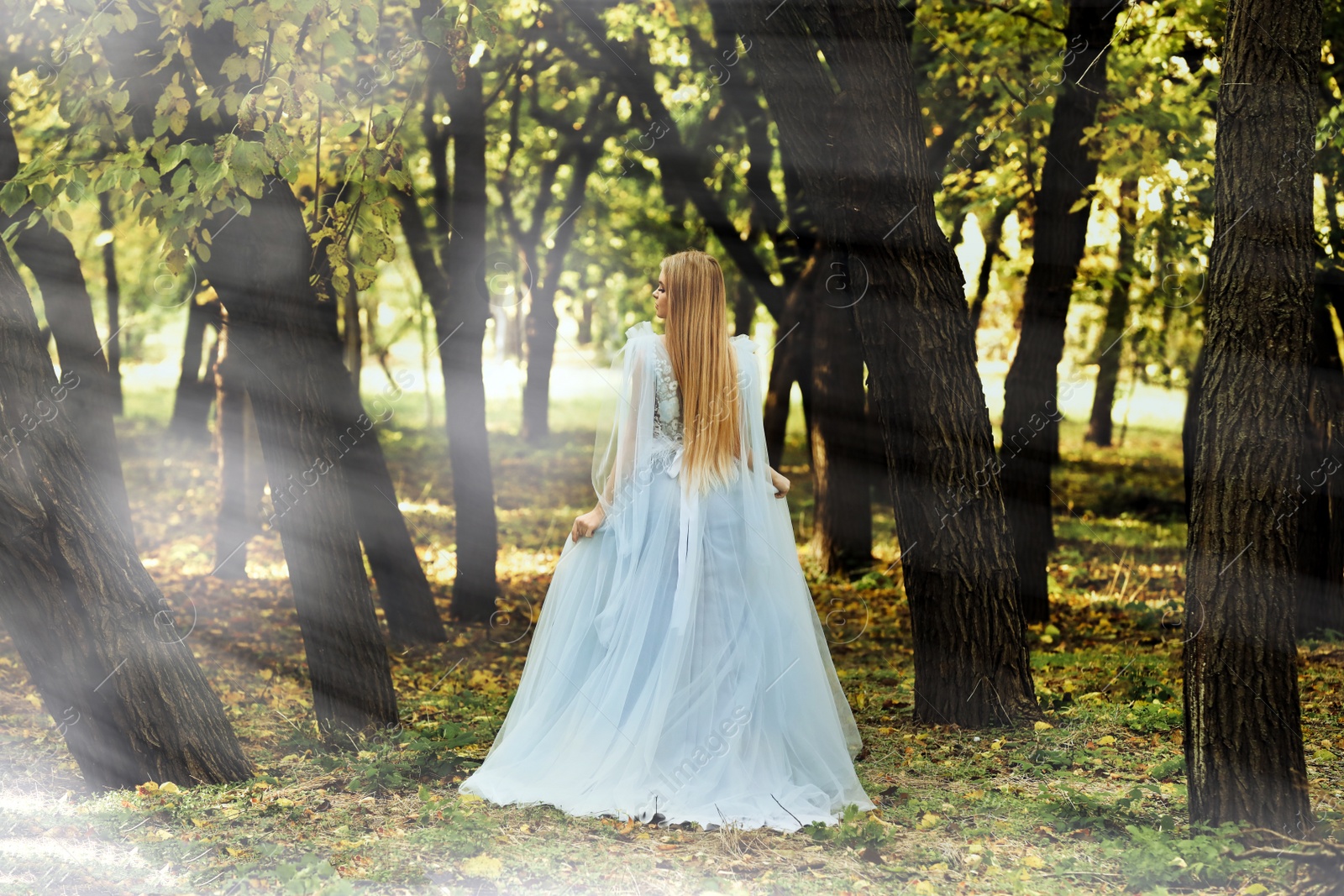 Photo of Beautiful girl wearing fairy dress in autumn forest, back view