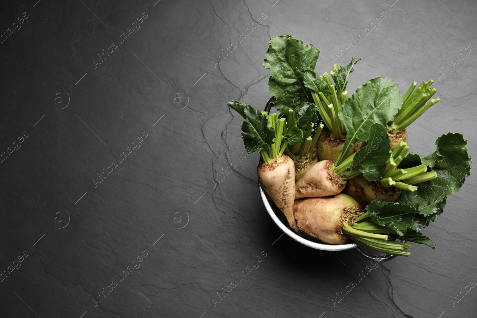 Photo of Colander with fresh sugar beets on black table, top view. Space for text