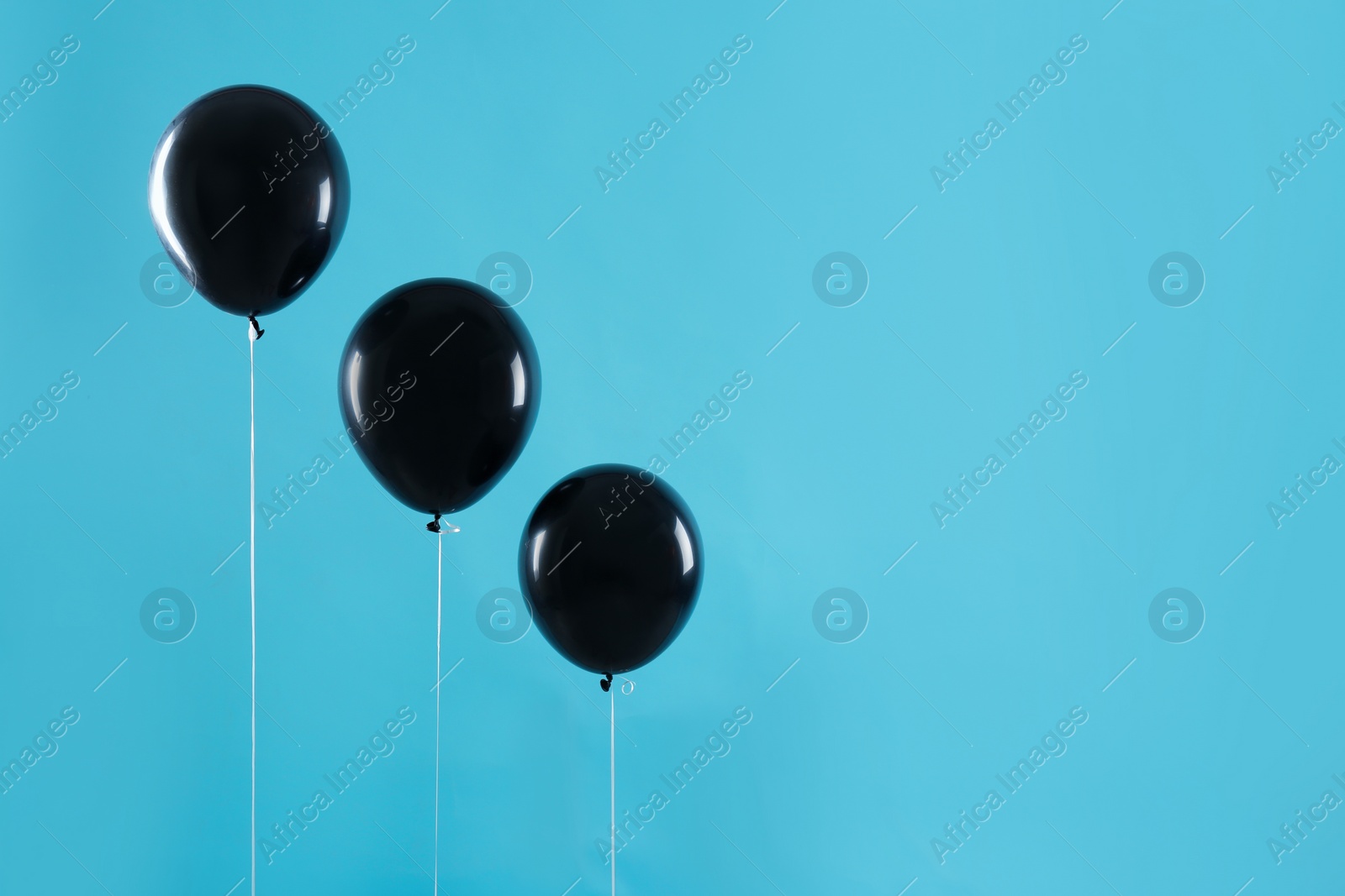 Photo of Black balloons on blue background, space for text. Halloween party