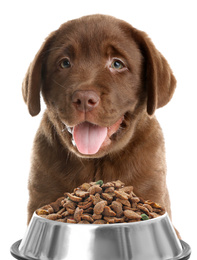 Image of Cute Labrador Retriever puppy and feeding bowl with dog food on white background
