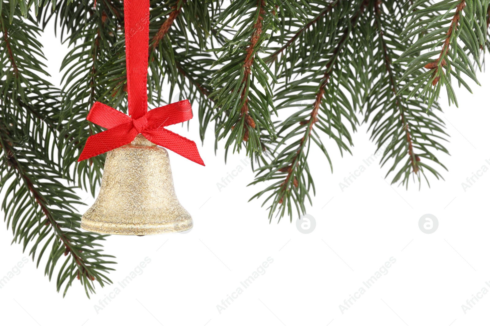 Photo of Christmas bell with red bow hanging on fir tree branch against white background