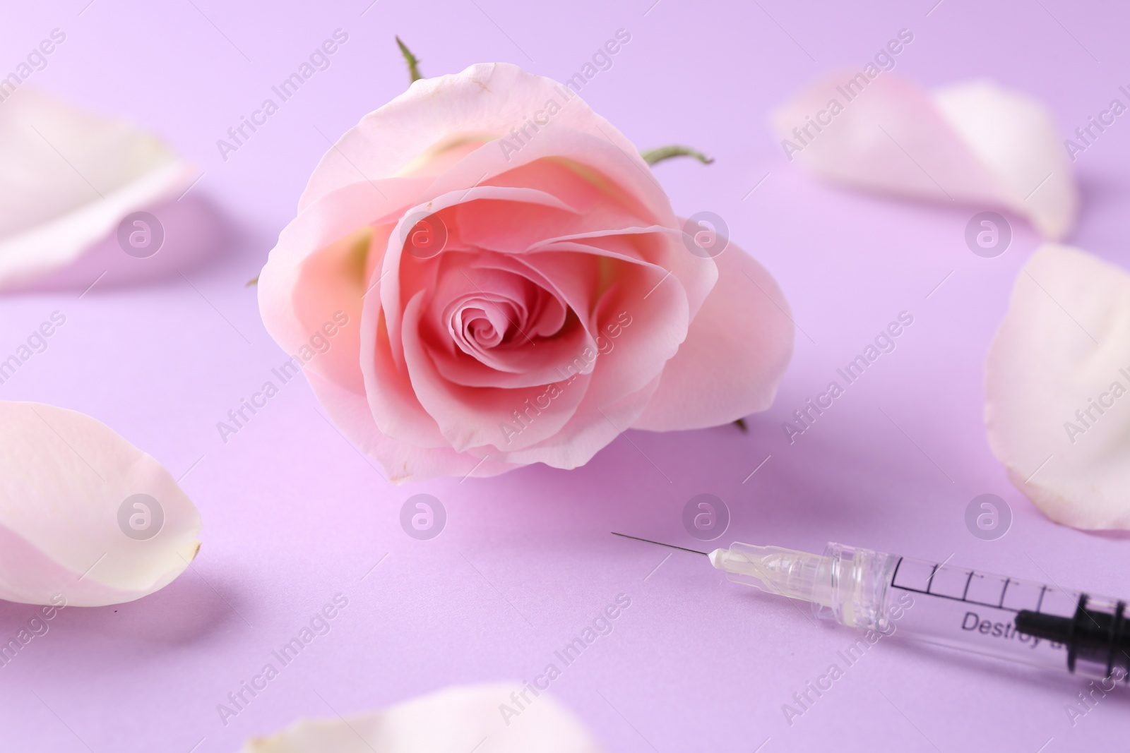 Photo of Cosmetology. Medical syringe, rose flower and petals on pink background, closeup