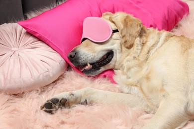 Photo of Cute Labrador Retriever with sleep mask resting on bed