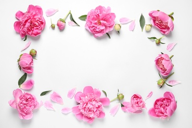 Frame made with fresh peonies on white background, top view. Space for text