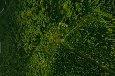 Image of Aerial view of road surrounded by forest with beautiful green trees