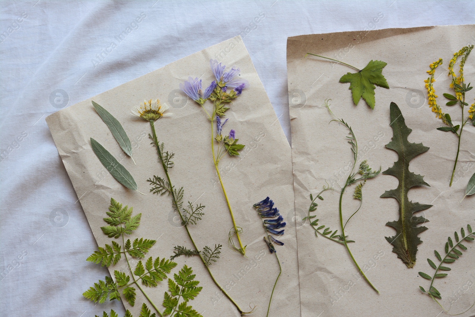 Photo of Sheets of paper with dried flowers and leaves on white fabric, flat lay