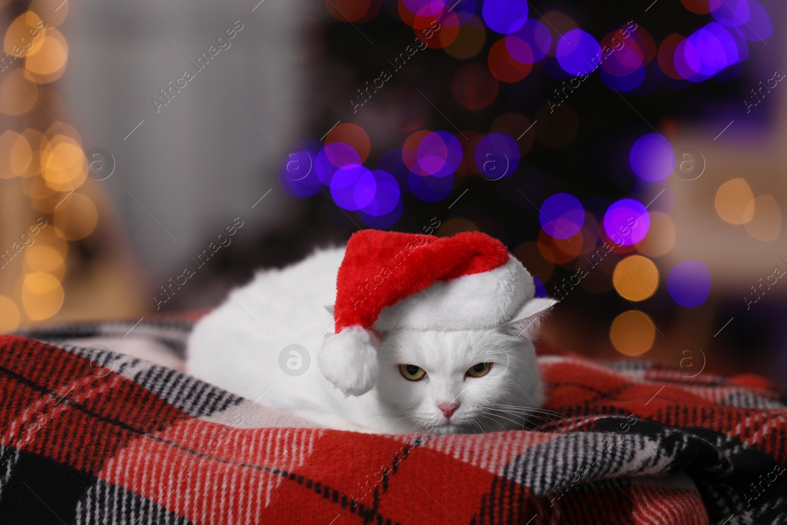 Photo of Adorable cat wearing Christmas hat on blanket against blurred lights