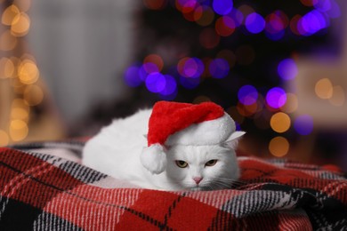 Adorable cat wearing Christmas hat on blanket against blurred lights