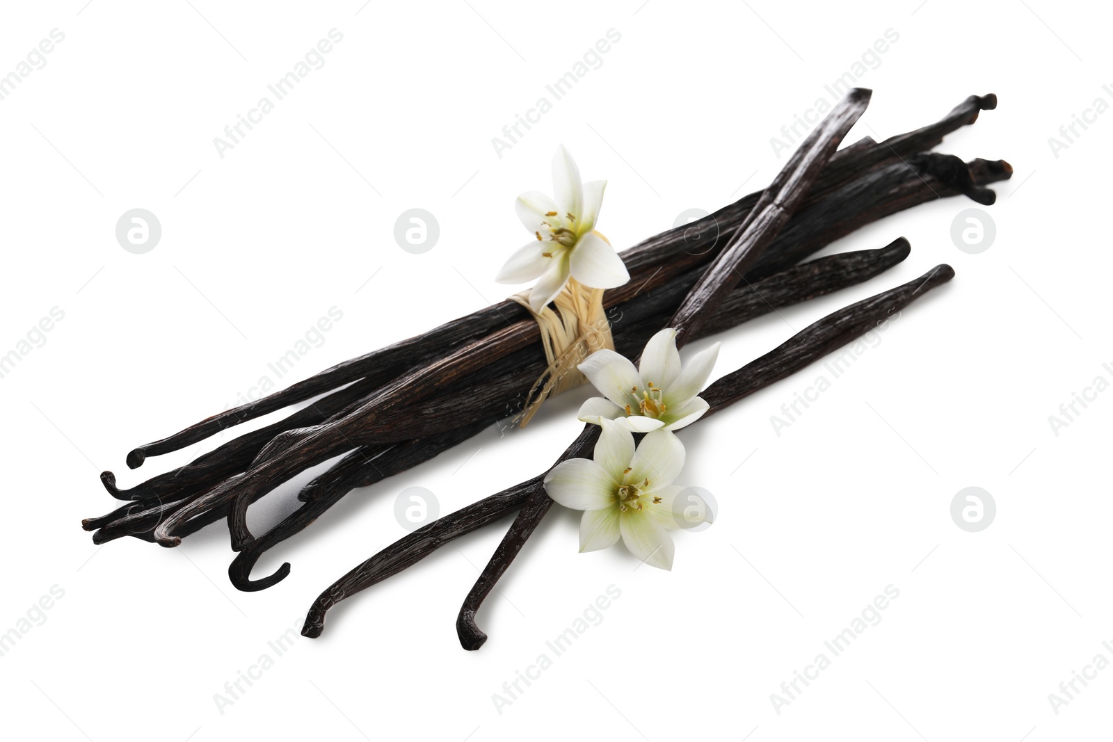 Photo of Vanilla pods and flowers isolated on white