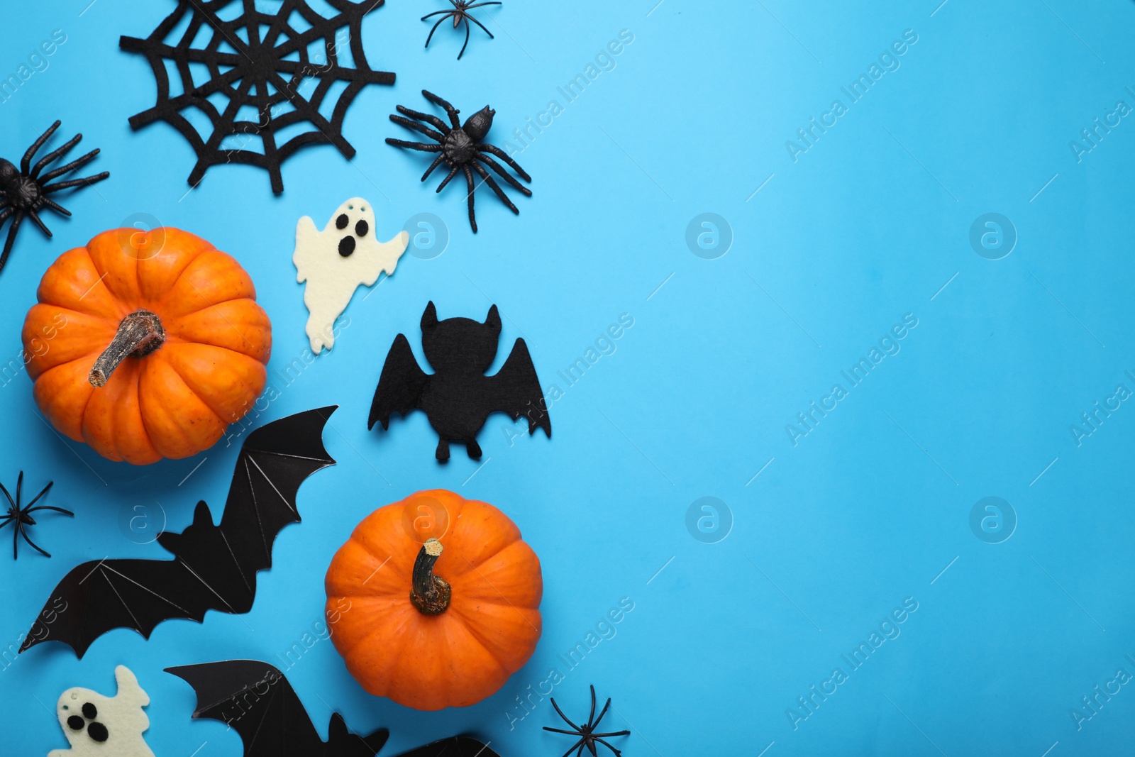 Photo of Flat lay composition with bats, pumpkins, ghosts and spiders on light blue background, space for text. Halloween celebration