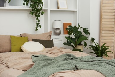 Comfortable bed and different houseplants in bedroom. Interior design