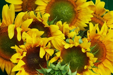 Photo of Bouquet of beautiful sunflowers on green background, closeup
