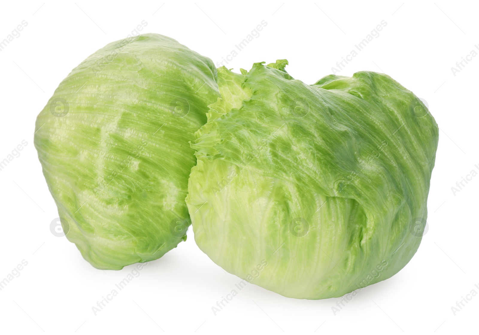 Photo of Fresh green iceberg lettuces isolated on white