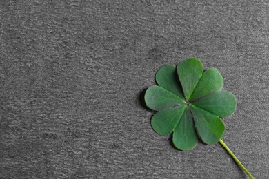 Photo of Green four leaf clover on grey table, top view. Space for text