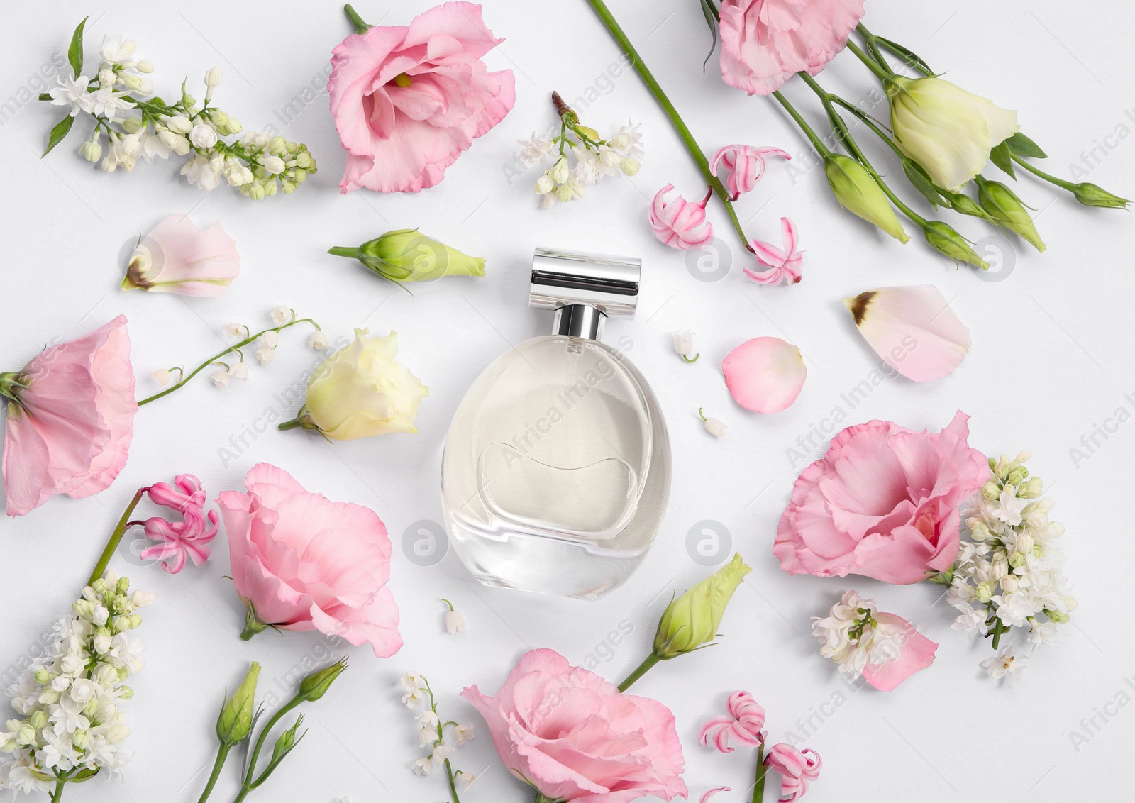 Photo of Luxury perfume and floral decor on white background, flat lay