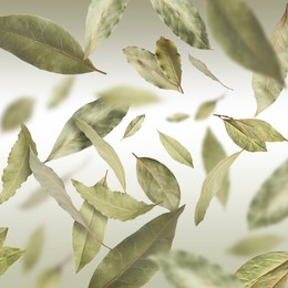 Image of Dry bay leaves falling on dark beige color background background