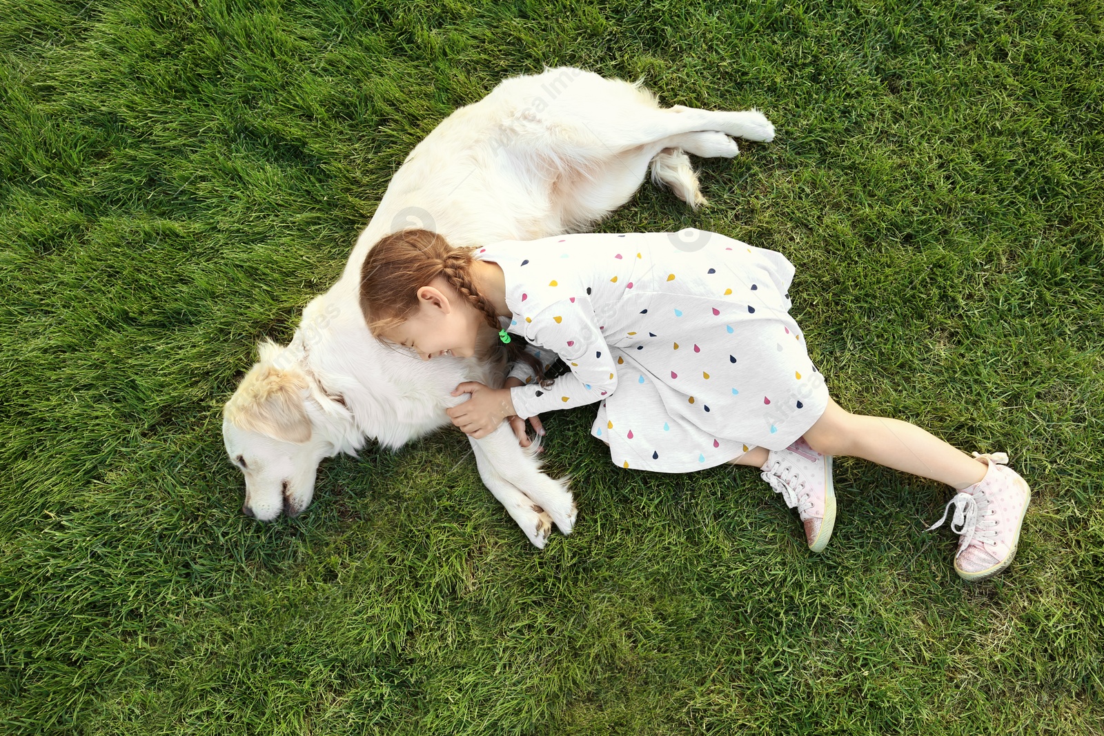 Photo of Cute little child with his pet on green grass, top view