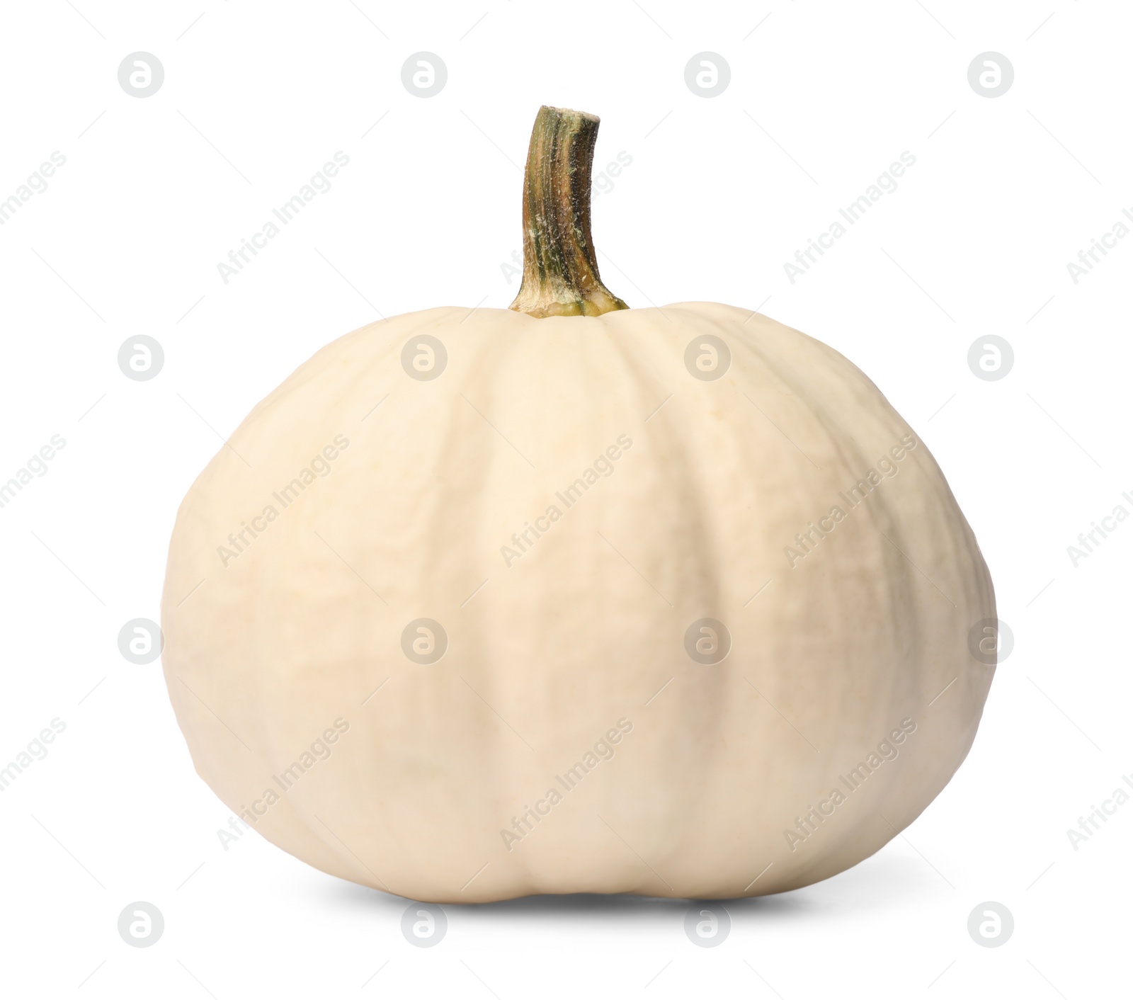 Photo of One ripe beige pumpkin isolated on white