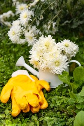 Photo of Gardening gloves and watering can with flowers on green grass