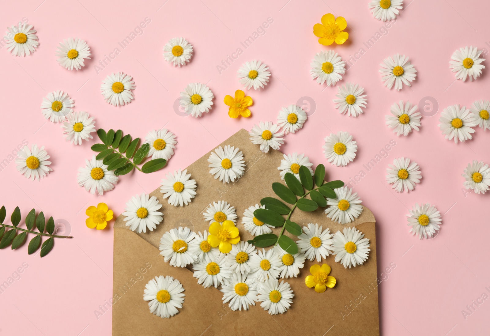 Photo of Flat lay composition with beautiful flowers, leaves and envelope on pink background