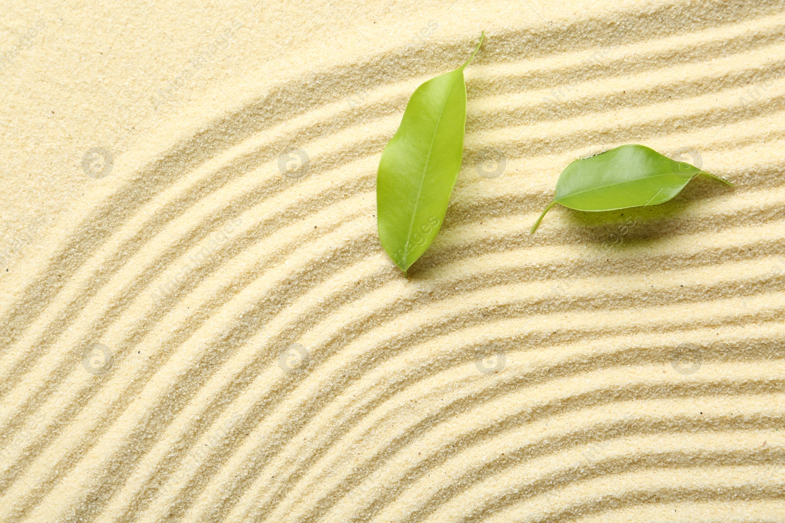 Photo of Zen rock garden. Wave pattern and green leaves on beige sand, top view