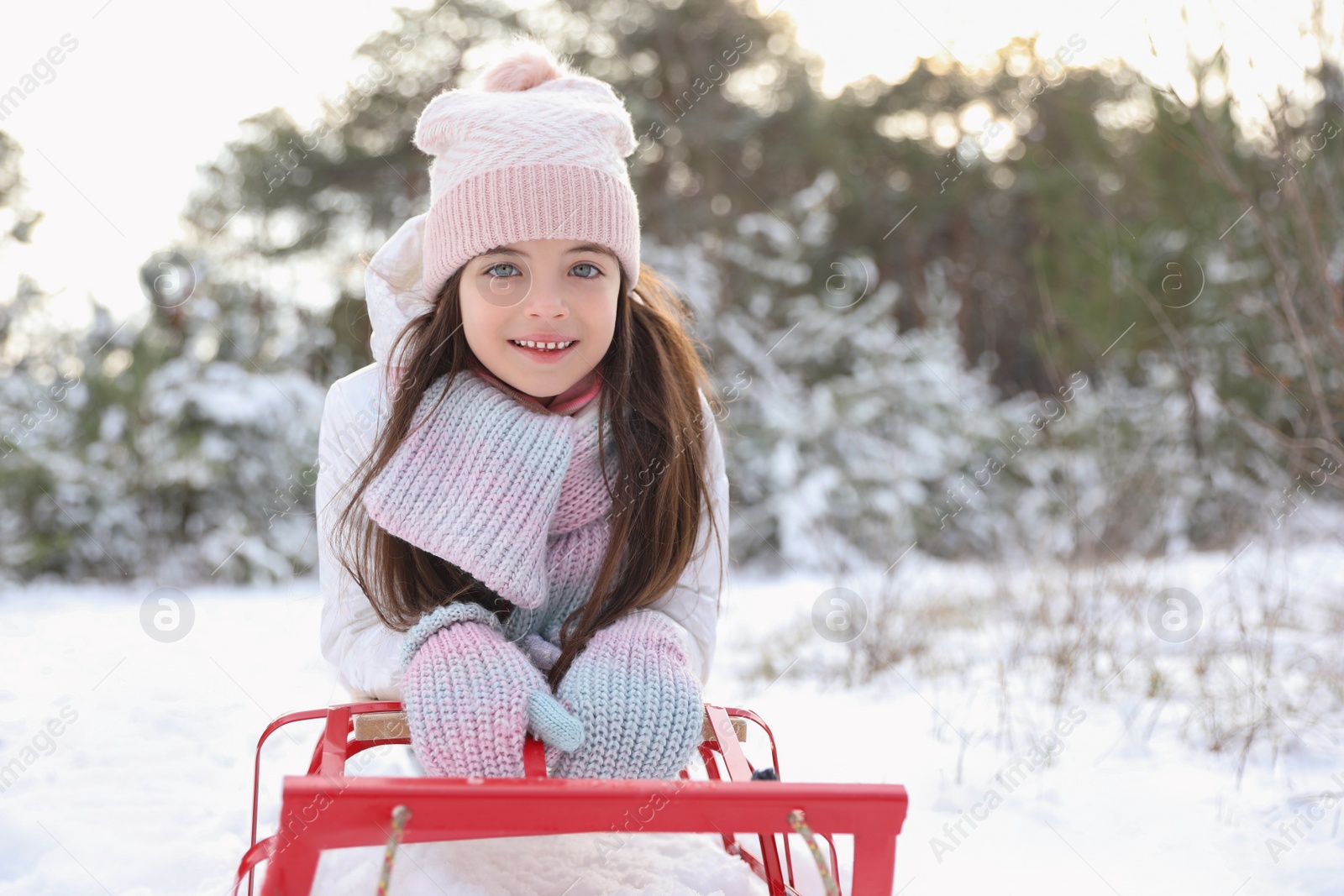 Photo of Cute little girl enjoying sleigh ride outdoors on winter day