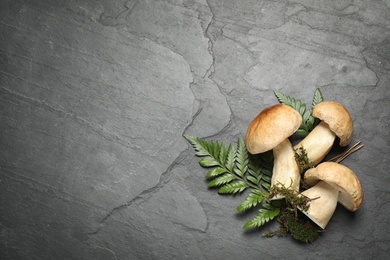 Photo of Flat lay composition with porcini mushrooms on grey background, space for text