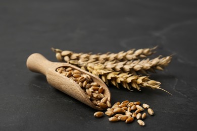 Ears of wheat and grains on black table