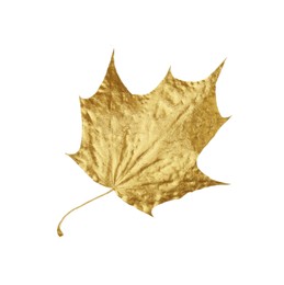 One golden maple leaf isolated on white. Autumn season